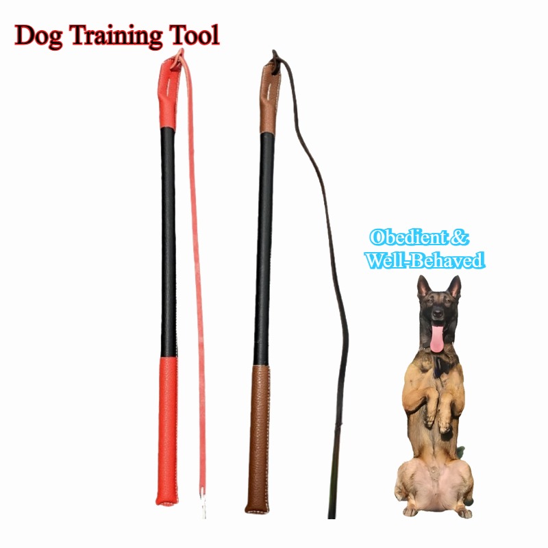 Leatherwork Training - レザー製の鞭 - 犬の訓練ツール 犬の訓練用具 筋膜鞭 耐久性のある滑り止め付き