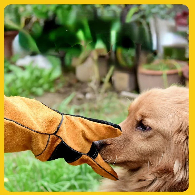 ペット用牛革手袋,咬傷防止,ヘビ,トカゲ,猫と犬,ガーデニン - Leatherwork Training のレビューと価格